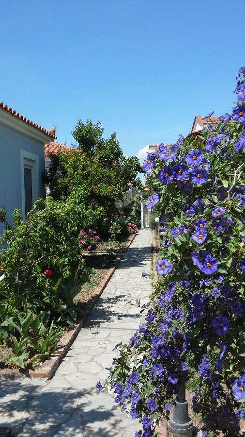 Armonia Houses Tsonia Kültér fotó